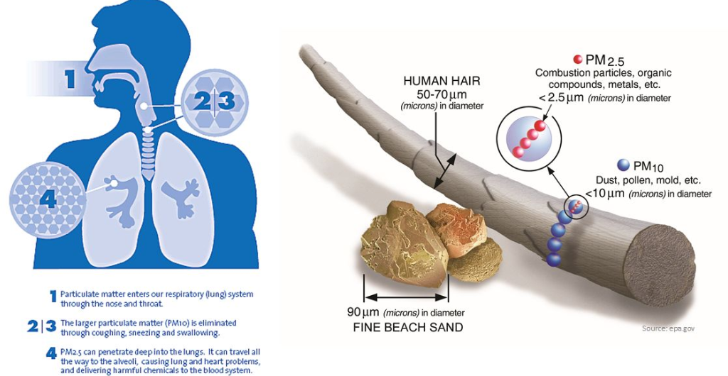 PM 2.5 explained